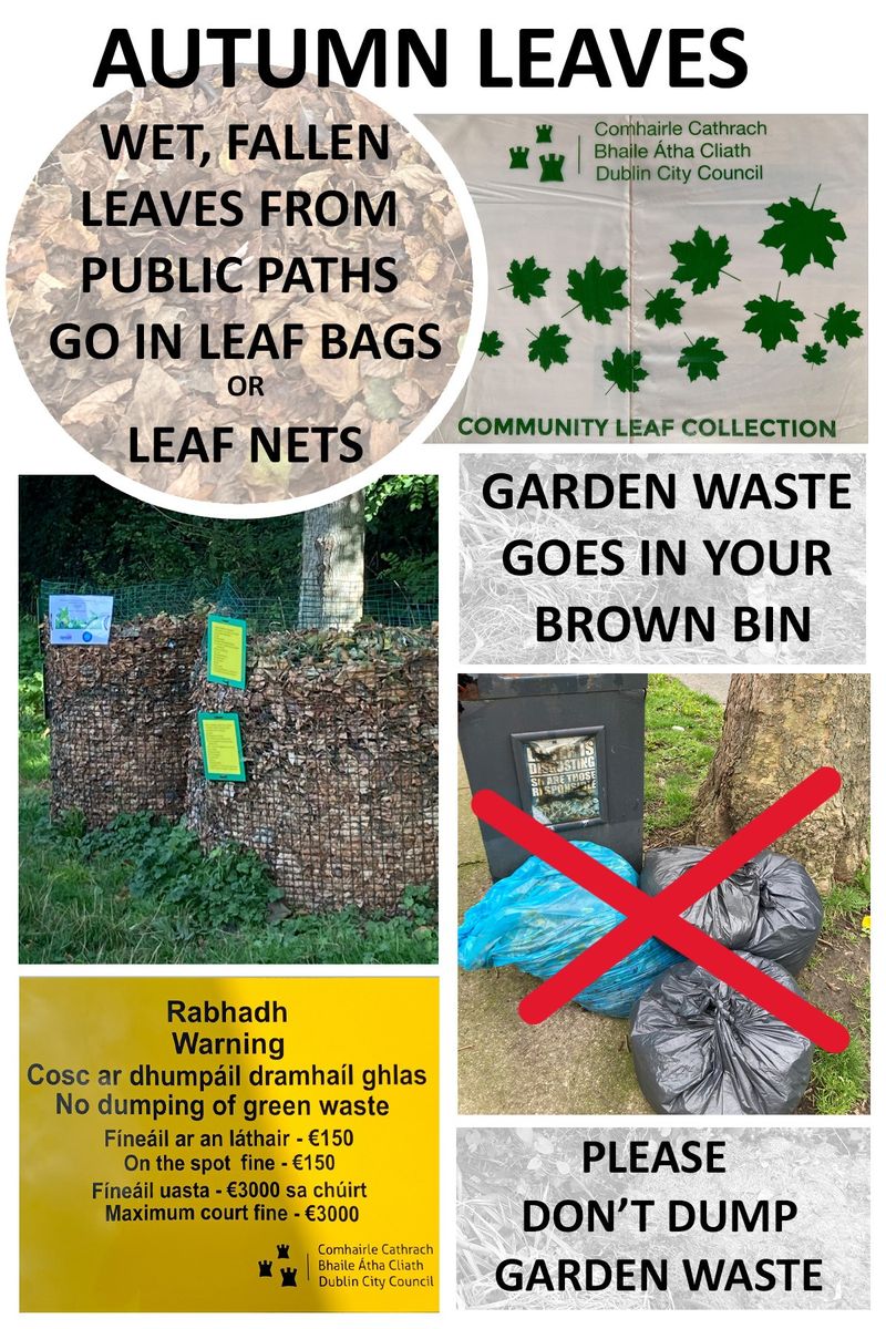 A message from Clontarf Residents’ Association re Autumn Leaves